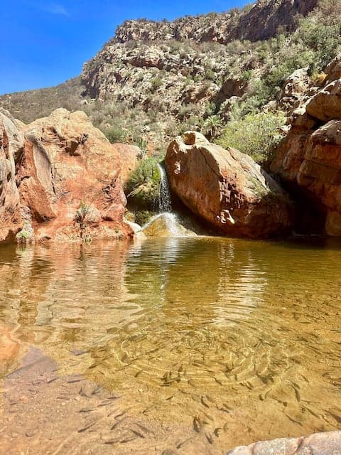 Hike and swim in the mountains of Paradise Valley image 4